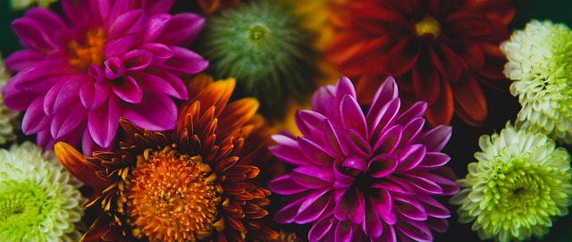 TA：拜仁因迪亚斯更具穿透力，红军逼抢强度因失去他而下降